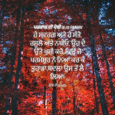 Picture 04 - ਪਰਕਾਸ਼ ਦੀ ਪੋਥੀ 18:20 PANIRV - ਹੇ ਸਵਰਗ ਅਤੇ ਹੇ - Bible Verse Picture