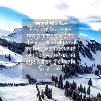 Picture 04 - ਪਰਕਾਸ਼ ਦੀ ਪੋਥੀ 2:2 PANIRV - ਮੈਂ ਤੇਰੇ ਕੰਮਾਂ, - Bible Verse Picture