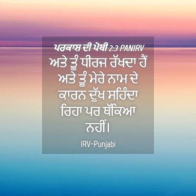 Picture 04 - ਪਰਕਾਸ਼ ਦੀ ਪੋਥੀ 2:3 PANIRV - ਅਤੇ ਤੂੰ ਧੀਰਜ ਰੱਖਦਾ - Bible Verse Picture