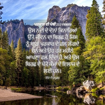 Picture 04 - ਪਰਕਾਸ਼ ਦੀ ਪੋਥੀ 22:2 PANIRV - ਉਸ ਨਦੀ ਦੇ ਦੋਨਾਂ - Bible Verse Picture