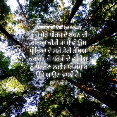 Picture 04 - ਪਰਕਾਸ਼ ਦੀ ਪੋਥੀ 3:10 PANIRV - ਤੂੰ ਜੋ ਮੇਰੇ ਧੀਰਜ ਦੇ - Bible Verse Picture