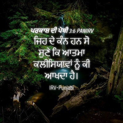 Picture 04 - ਪਰਕਾਸ਼ ਦੀ ਪੋਥੀ 3:6 PANIRV - ਜਿਹ ਦੇ ਕੰਨ ਹਨ ਸੋ - Bible Verse Picture