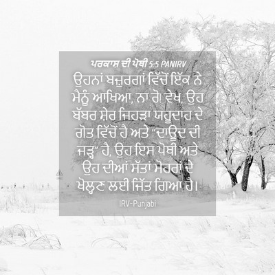 Picture 04 - ਪਰਕਾਸ਼ ਦੀ ਪੋਥੀ 5:5 PANIRV - ਉਹਨਾਂ ਬਜ਼ੁਰਗਾਂ - Bible Verse Picture