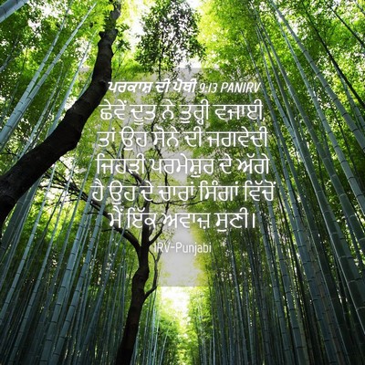 Picture 04 - ਪਰਕਾਸ਼ ਦੀ ਪੋਥੀ 9:13 PANIRV - ਛੇਵੇਂ ਦੂਤ ਨੇ - Bible Verse Picture