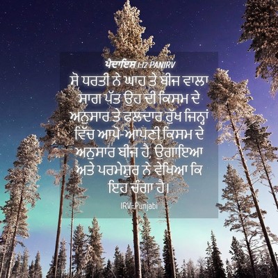 Picture 04 - ਪੈਦਾਇਸ਼ 1:12 PANIRV - ਸੋ ਧਰਤੀ ਨੇ ਘਾਹ ਤੇ - Bible Verse Picture
