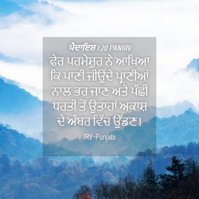 Picture 04 - ਪੈਦਾਇਸ਼ 1:20 PANIRV - ਫੇਰ ਪਰਮੇਸ਼ੁਰ ਨੇ - Bible Verse Picture