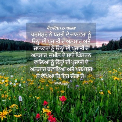 Picture 04 - ਪੈਦਾਇਸ਼ 1:25 PANIRV - ਪਰਮੇਸ਼ੁਰ ਨੇ ਧਰਤੀ - Bible Verse Picture