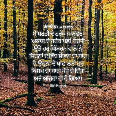 Picture 04 - ਪੈਦਾਇਸ਼ 1:30 PANIRV - ਮੈਂ ਧਰਤੀ ਦੇ ਹਰੇਕ - Bible Verse Picture