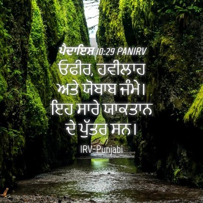Picture 04 - ਪੈਦਾਇਸ਼ 10:29 PANIRV - ਓਫੀਰ, ਹਵੀਲਾਹ ਅਤੇ - Bible Verse Picture