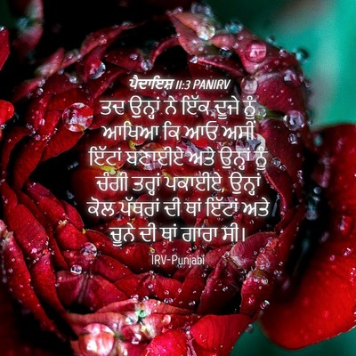 Picture 04 - ਪੈਦਾਇਸ਼ 11:3 PANIRV - ਤਦ ਉਨ੍ਹਾਂ ਨੇ ਇੱਕ - Bible Verse Picture