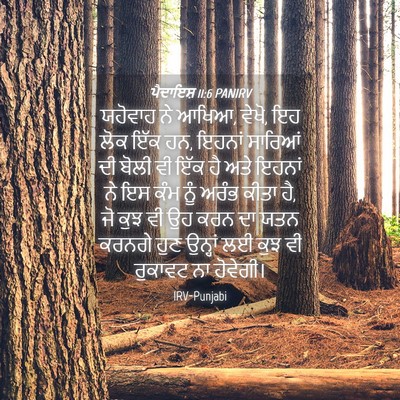 Picture 04 - ਪੈਦਾਇਸ਼ 11:6 PANIRV - ਯਹੋਵਾਹ ਨੇ ਆਖਿਆ, - Bible Verse Picture