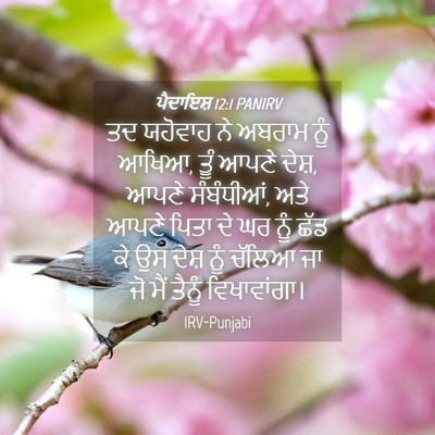 Picture 04 - ਪੈਦਾਇਸ਼ 12:1 PANIRV - ਤਦ ਯਹੋਵਾਹ ਨੇ ਅਬਰਾਮ - Bible Verse Picture