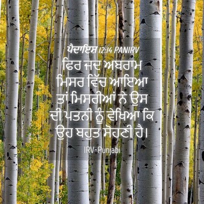 Picture 04 - ਪੈਦਾਇਸ਼ 12:14 PANIRV - ਫਿਰ ਜਦ ਅਬਰਾਮ ਮਿਸਰ - Bible Verse Picture