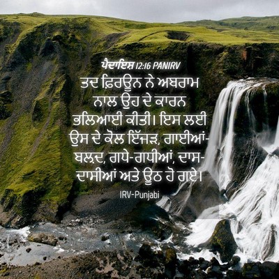 Picture 04 - ਪੈਦਾਇਸ਼ 12:16 PANIRV - ਤਦ ਫ਼ਿਰਊਨ ਨੇ ਅਬਰਾਮ - Bible Verse Picture