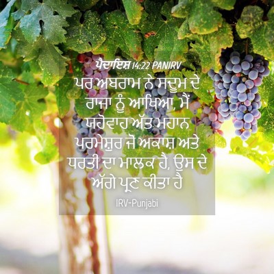 Picture 04 - ਪੈਦਾਇਸ਼ 14:22 PANIRV - ਪਰ ਅਬਰਾਮ ਨੇ ਸਦੂਮ ਦੇ - Bible Verse Picture