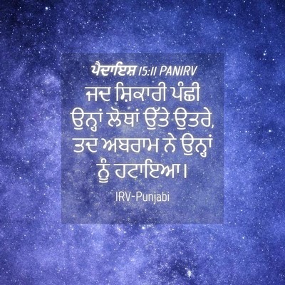 Picture 04 - ਪੈਦਾਇਸ਼ 15:11 PANIRV - ਜਦ ਸ਼ਿਕਾਰੀ ਪੰਛੀ - Bible Verse Picture
