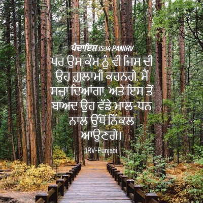Picture 04 - ਪੈਦਾਇਸ਼ 15:14 PANIRV - ਪਰ ਉਸ ਕੌਮ ਨੂੰ ਵੀ - Bible Verse Picture