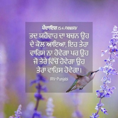 Picture 04 - ਪੈਦਾਇਸ਼ 15:4 PANIRV - ਤਦ ਯਹੋਵਾਹ ਦਾ ਬਚਨ ਉਹ - Bible Verse Picture