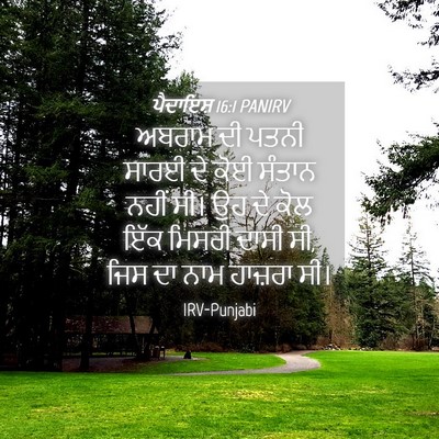 Picture 04 - ਪੈਦਾਇਸ਼ 16:1 PANIRV - ਅਬਰਾਮ ਦੀ ਪਤਨੀ ਸਾਰਈ - Bible Verse Picture