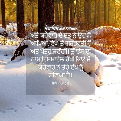 Picture 04 - ਪੈਦਾਇਸ਼ 16:11 PANIRV - ਅਤੇ ਯਹੋਵਾਹ ਦੇ ਦੂਤ - Bible Verse Picture