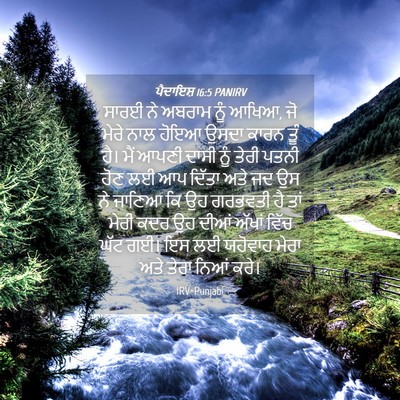 Picture 04 - ਪੈਦਾਇਸ਼ 16:5 PANIRV - ਸਾਰਈ ਨੇ ਅਬਰਾਮ ਨੂੰ - Bible Verse Picture