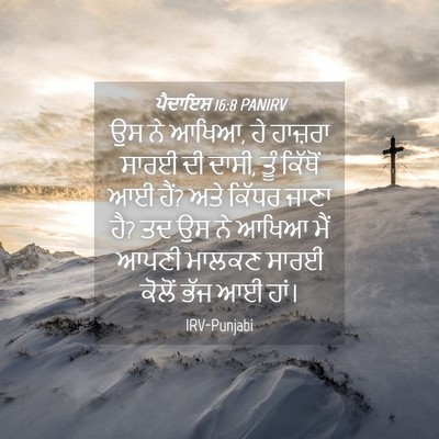 Picture 04 - ਪੈਦਾਇਸ਼ 16:8 PANIRV - ਉਸ ਨੇ ਆਖਿਆ, ਹੇ - Bible Verse Picture