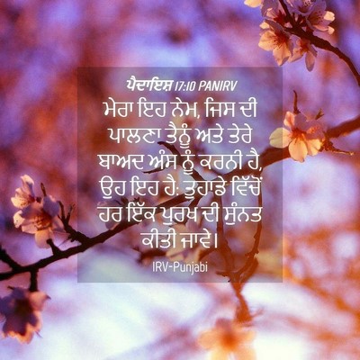 Picture 04 - ਪੈਦਾਇਸ਼ 17:10 PANIRV - ਮੇਰਾ ਇਹ ਨੇਮ, ਜਿਸ ਦੀ - Bible Verse Picture