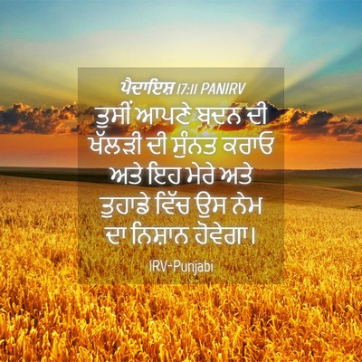 Picture 04 - ਪੈਦਾਇਸ਼ 17:11 PANIRV - ਤੁਸੀਂ ਆਪਣੇ ਬਦਨ ਦੀ - Bible Verse Picture