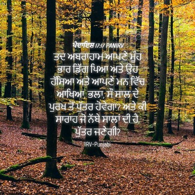 Picture 04 - ਪੈਦਾਇਸ਼ 17:17 PANIRV - ਤਦ ਅਬਰਾਹਾਮ ਆਪਣੇ - Bible Verse Picture