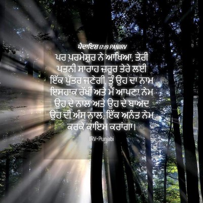 Picture 04 - ਪੈਦਾਇਸ਼ 17:19 PANIRV - ਪਰ ਪਰਮੇਸ਼ੁਰ ਨੇ - Bible Verse Picture