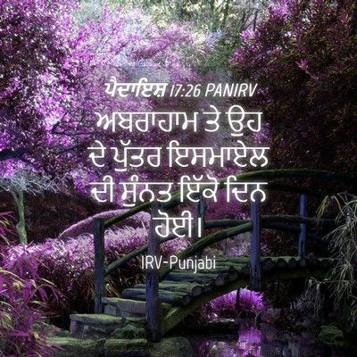 Picture 04 - ਪੈਦਾਇਸ਼ 17:26 PANIRV - ਅਬਰਾਹਾਮ ਤੇ ਉਹ ਦੇ - Bible Verse Picture