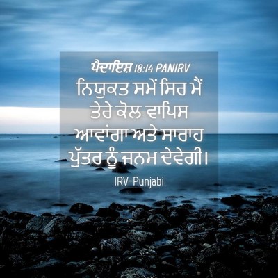 Picture 04 - ਪੈਦਾਇਸ਼ 18:14 PANIRV - ਨਿਯੁਕਤ ਸਮੇਂ ਸਿਰ - Bible Verse Picture