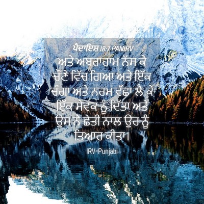 Picture 04 - ਪੈਦਾਇਸ਼ 18:7 PANIRV - ਅਤੇ ਅਬਰਾਹਾਮ ਨੱਸ ਕੇ - Bible Verse Picture