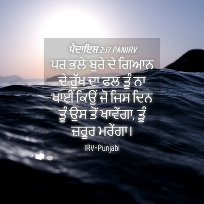 Picture 04 - ਪੈਦਾਇਸ਼ 2:17 PANIRV - ਪਰ ਭਲੇ ਬੁਰੇ ਦੇ ਗਿਆਨ - Bible Verse Picture