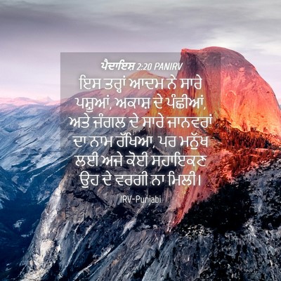 Picture 04 - ਪੈਦਾਇਸ਼ 2:20 PANIRV - ਇਸ ਤਰ੍ਹਾਂ ਆਦਮ ਨੇ - Bible Verse Picture