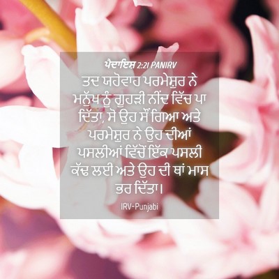 Picture 04 - ਪੈਦਾਇਸ਼ 2:21 PANIRV - ਤਦ ਯਹੋਵਾਹ - Bible Verse Picture