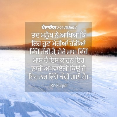 Picture 04 - ਪੈਦਾਇਸ਼ 2:23 PANIRV - ਤਦ ਮਨੁੱਖ ਨੇ ਆਖਿਆ ਕਿ - Bible Verse Picture