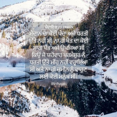 Picture 04 - ਪੈਦਾਇਸ਼ 2:5 PANIRV - ਮੈਦਾਨ ਦਾ ਕੋਈ ਪੌਦਾ - Bible Verse Picture