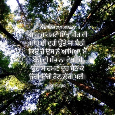 Picture 04 - ਪੈਦਾਇਸ਼ 21:16 PANIRV - ਆਪ ਸਾਹਮਣੇ ਇੱਕ ਤੀਰ - Bible Verse Picture