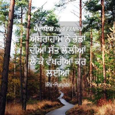 Picture 04 - ਪੈਦਾਇਸ਼ 21:28 PANIRV - ਅਬਰਾਹਾਮ ਨੇ ਭੇਡਾਂ - Bible Verse Picture