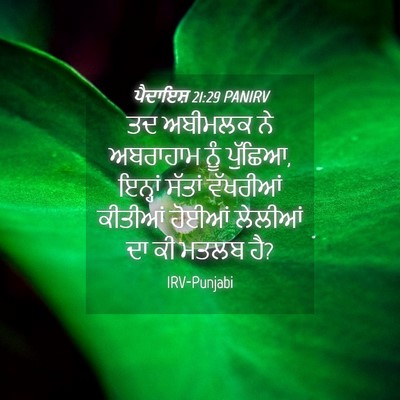 Picture 04 - ਪੈਦਾਇਸ਼ 21:29 PANIRV - ਤਦ ਅਬੀਮਲਕ ਨੇ - Bible Verse Picture