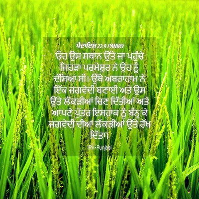 Picture 04 - ਪੈਦਾਇਸ਼ 22:9 PANIRV - ਓਹ ਉਸ ਸਥਾਨ ਉੱਤੇ ਜਾ - Bible Verse Picture