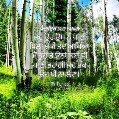 Picture 04 - ਪੈਦਾਇਸ਼ 24:19 PANIRV - ਜਦ ਉਹ ਉਸ ਨੂੰ ਪਾਣੀ - Bible Verse Picture