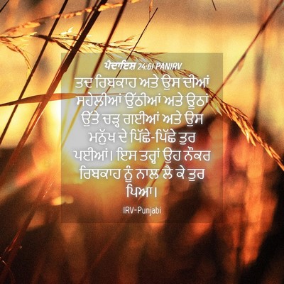 Picture 04 - ਪੈਦਾਇਸ਼ 24:61 PANIRV - ਤਦ ਰਿਬਕਾਹ ਅਤੇ ਉਸ - Bible Verse Picture