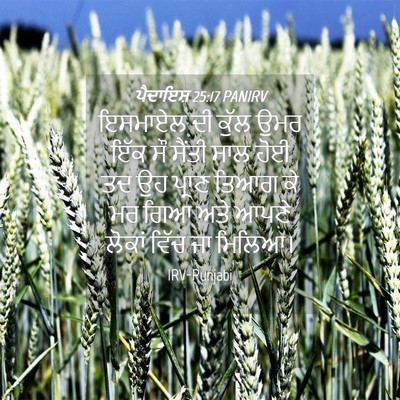 Picture 04 - ਪੈਦਾਇਸ਼ 25:17 PANIRV - ਇਸਮਾਏਲ ਦੀ ਕੁੱਲ ਉਮਰ - Bible Verse Picture