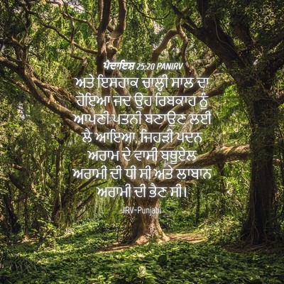 Picture 04 - ਪੈਦਾਇਸ਼ 25:20 PANIRV - ਅਤੇ ਇਸਹਾਕ ਚਾਲ੍ਹੀ - Bible Verse Picture