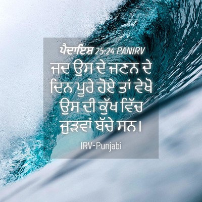 Picture 04 - ਪੈਦਾਇਸ਼ 25:24 PANIRV - ਜਦ ਉਸ ਦੇ ਜਣਨ ਦੇ ਦਿਨ - Bible Verse Picture