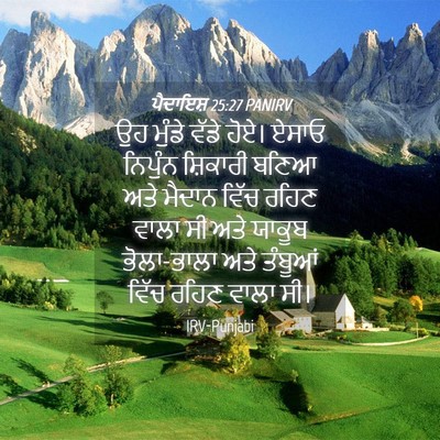 Picture 04 - ਪੈਦਾਇਸ਼ 25:27 PANIRV - ਉਹ ਮੁੰਡੇ ਵੱਡੇ ਹੋਏ। - Bible Verse Picture