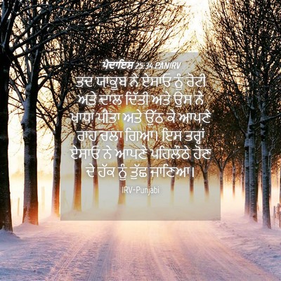 Picture 04 - ਪੈਦਾਇਸ਼ 25:34 PANIRV - ਤਦ ਯਾਕੂਬ ਨੇ ਏਸਾਓ - Bible Verse Picture