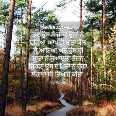 Picture 04 - ਪੈਦਾਇਸ਼ 27:14 PANIRV - ਤਦ ਉਸ ਨੇ ਜਾ ਕੇ - Bible Verse Picture